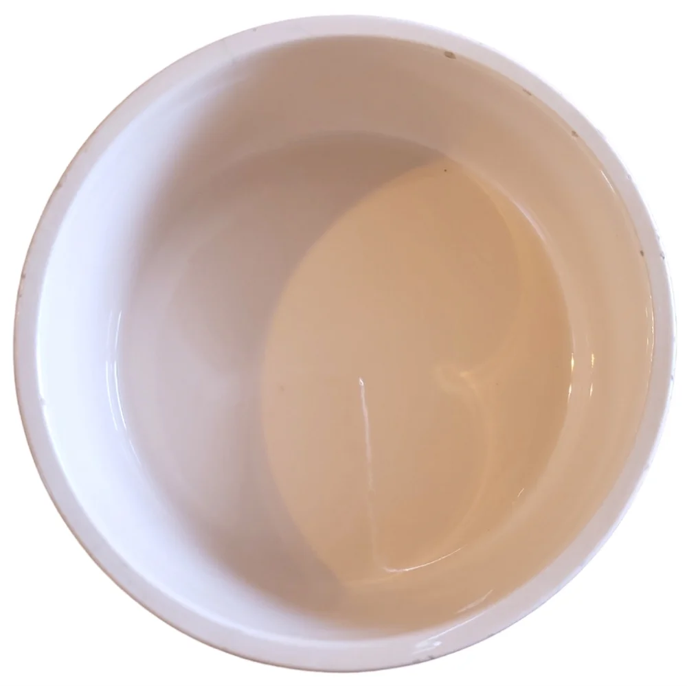 HP 😊 Vtg PT Pet Food Dog Cat Puppy Kitty Water Food Snack Bowl Dish Ceramic